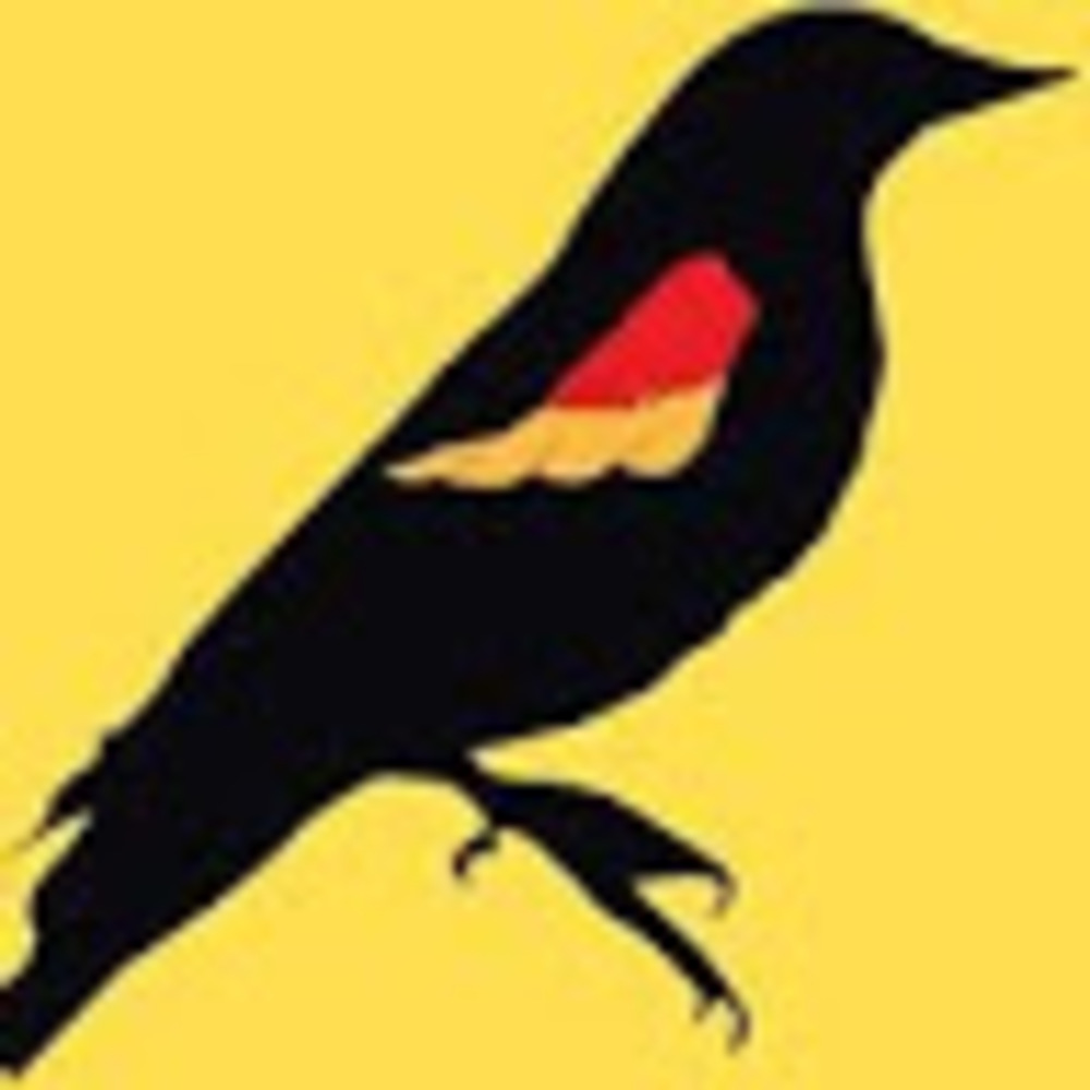 Meet your Posher, Mckay